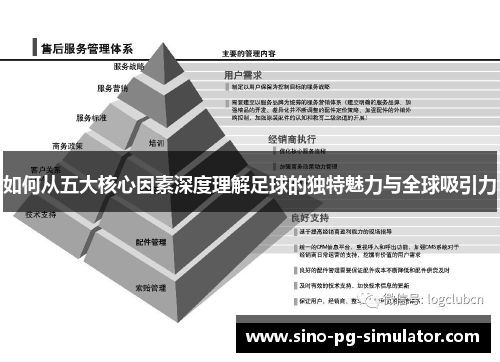 如何从五大核心因素深度理解足球的独特魅力与全球吸引力
