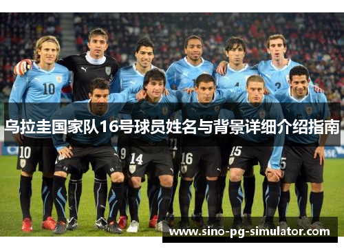 乌拉圭国家队16号球员姓名与背景详细介绍指南