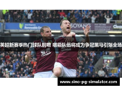 英超新赛季热门球队前瞻 哪些队伍将成为争冠黑马引爆全场