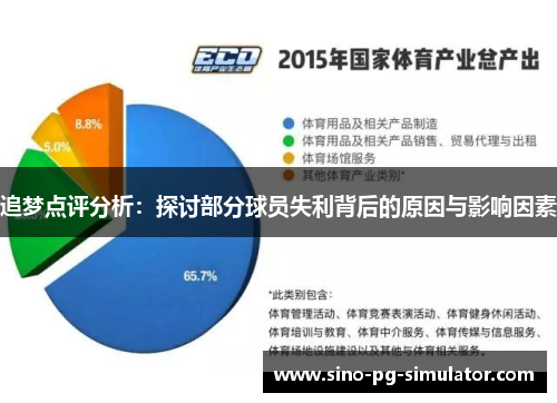 追梦点评分析：探讨部分球员失利背后的原因与影响因素