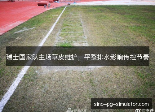 瑞士国家队主场草皮维护，平整排水影响传控节奏